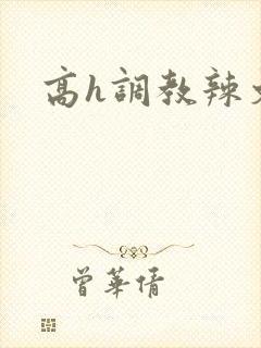 高h调教辣文
