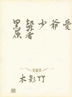 黑帮少爷爱上我原著