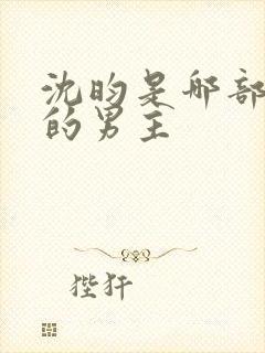 沈昀是哪部小说的男主