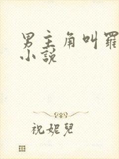 男主角叫罗铮的小说