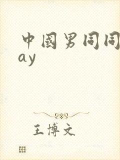 中国男同同性gay