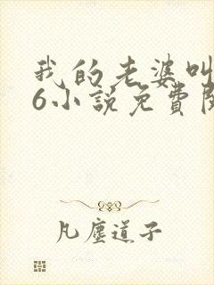 我的老婆叫武艳6小说免费阅读封面