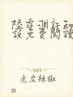 陆霆渊许知夏小说免费阅读最新章节