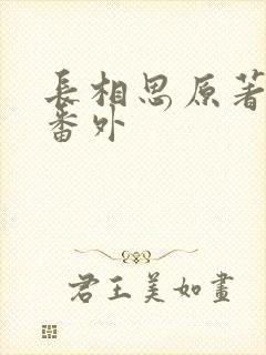 长相思原著小说番外