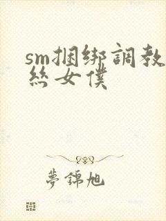 sm捆绑调教白丝女仆封面