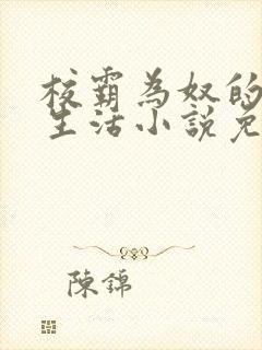 校霸为奴的日常生活小说免费阅读封面