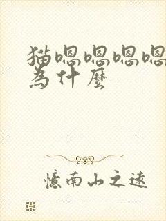 猫嗯嗯嗯嗯叫是为什么