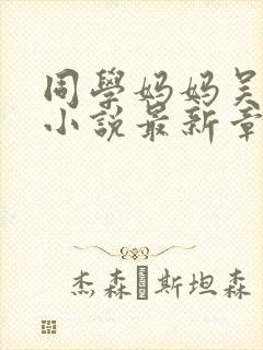 同学妈妈吴丽芬小说最新章节更新状封面
