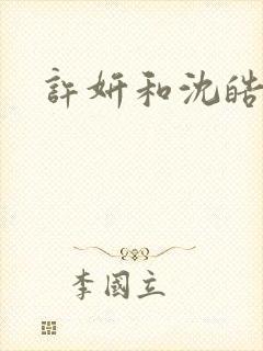 许妍和沈皓明封面