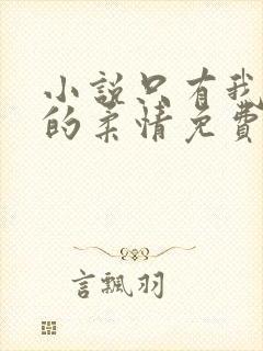 小说只有我懂他的柔情免费阅读