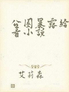 公园暴露给老头看小说