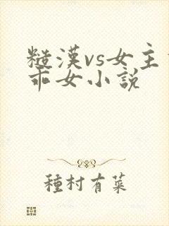 糙汉vs女主乖乖女小说