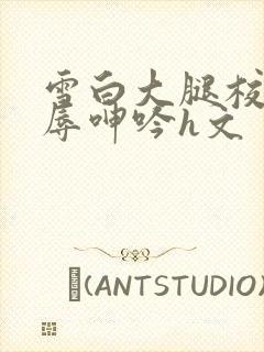 雪白大腿校花屈辱呻吟h文