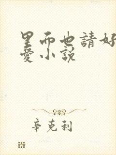 里面也请好好疼爱小说