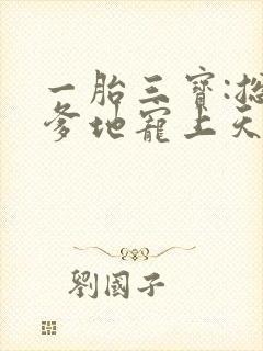 一胎三宝:总裁爹地宠上天封面