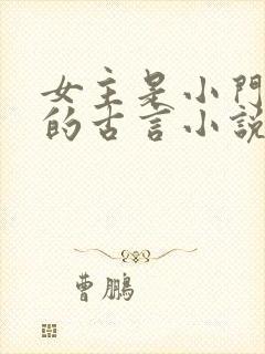 女主是小门小户的古言小说