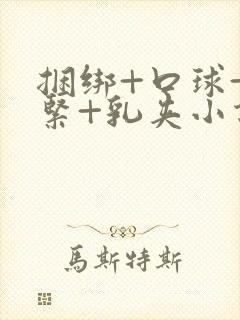 捆绑+口球+系紧+乳夹小说