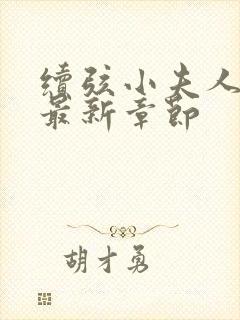 续弦小夫人下载最新章节