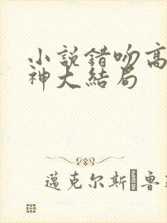 小说错吻高冷男神大结局