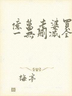 亿万老婆买一送一无删减全文阅读