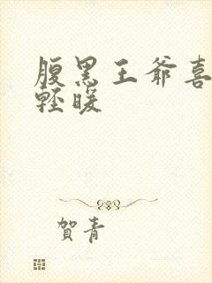 腹黑王爷喜当爹轻暖