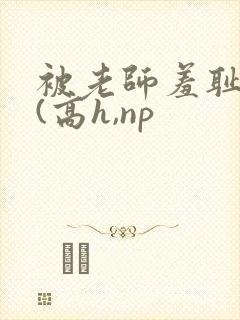 被老师羞耻调教(高h,np