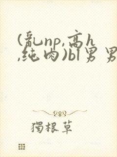 (乱np,高h,纯肉)bl男男