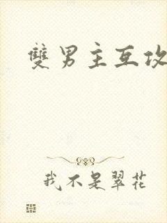 双男主互攻文