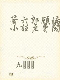 萧六郎顾娇穿越小说免费阅读
