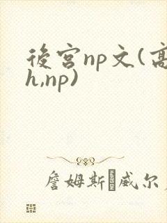 后宫np文(高h,np)