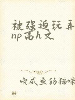 被强迫玩弄屈辱np高h文