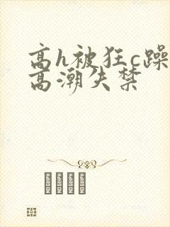 高h被狂c躁到高潮失禁封面