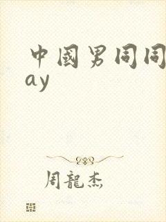 中国男同同性gay