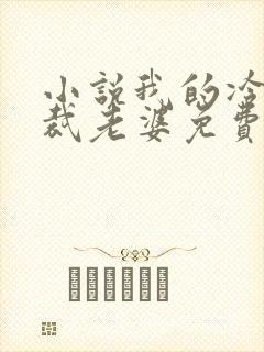 小说我的冷艳总裁老婆免费阅读