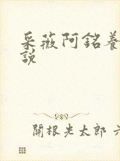 采薇阿铭养父小说