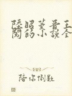 陆昭菱晋王周时阅的小说全文免费阅读封面