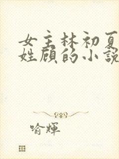 女主林初夏男主姓顾的小说