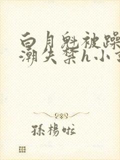 白月魁被躁到高潮失禁h小说封面