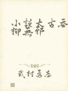 小说太古吞天诀柳无邪