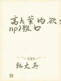 高h荤肉欲文(np)粗口