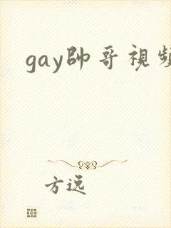 gay帅哥视频