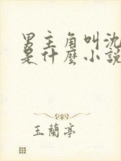 男主角叫沈肆的是什么小说封面