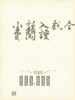 小说入戏全文免费阅读封面