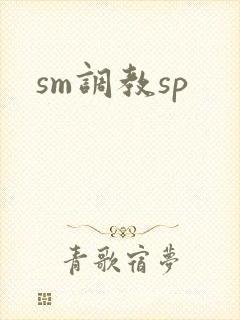 sm调教sp
