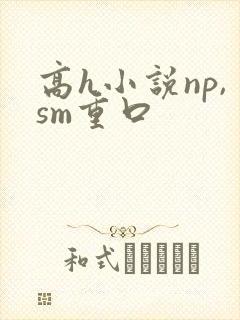 高h小说np,sm重口
