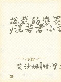 总裁的惩罚期by浣若君小说免费阅读