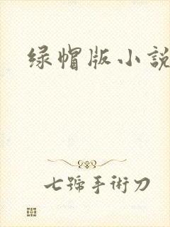 绿帽版小说