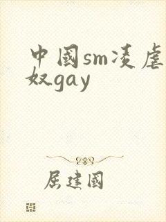 中国sm凌虐男奴gay