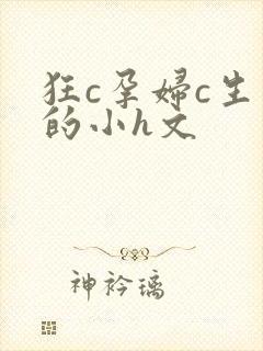 狂c孕妇c生了的小h文