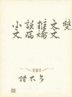 小说推文双男主文病娇文